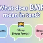what do bmp mean in text