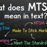 what does mtsm mean in text