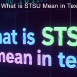 what is stsu mean in text