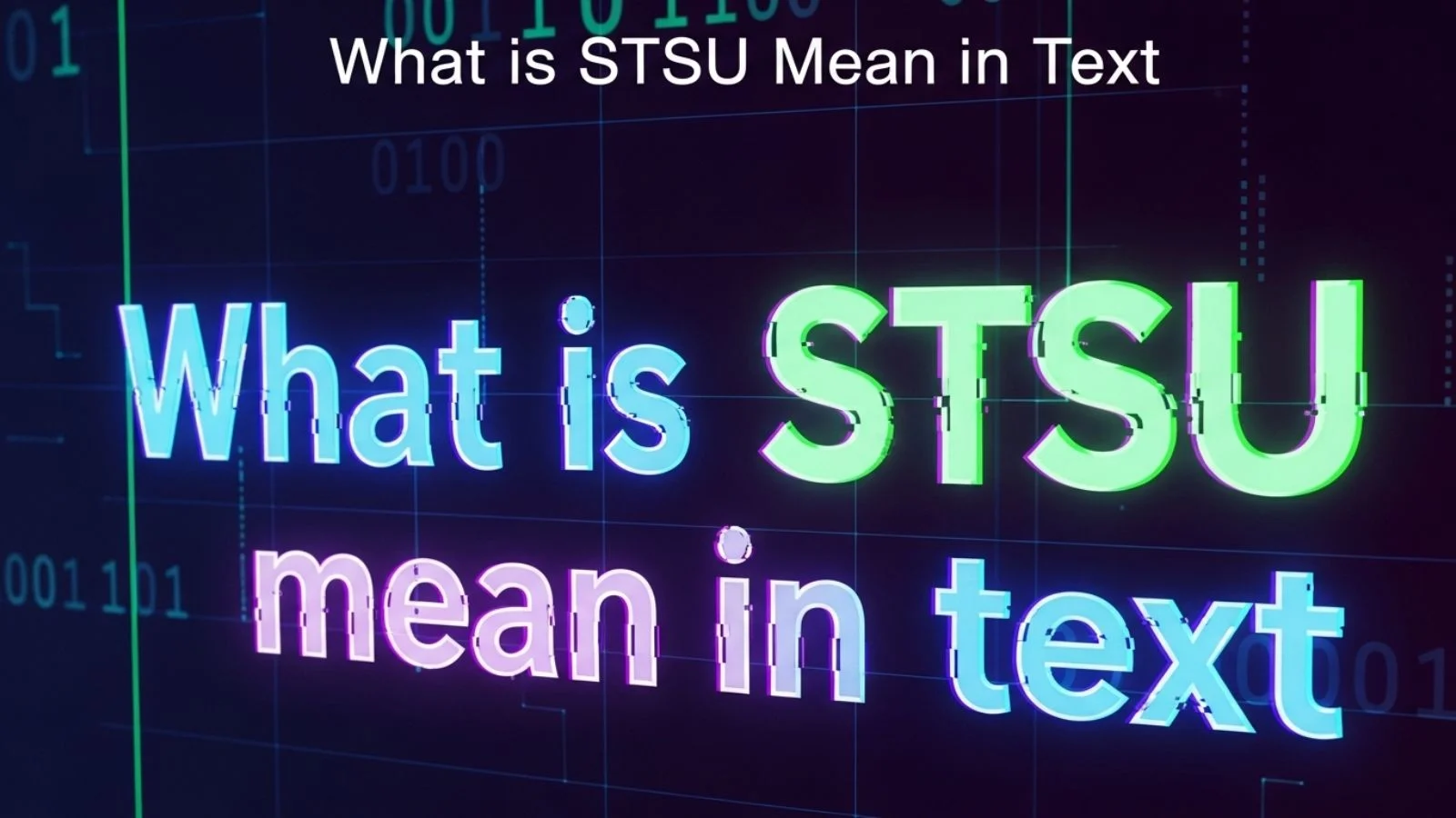 what is stsu mean in text
